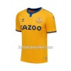 Everton Voetbalshirts Uit 2020/21